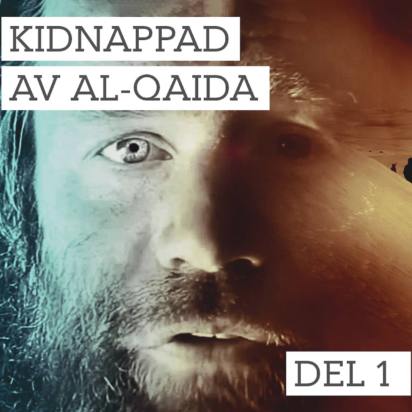 Del 1/2. Kidnappad av al-Qaida artwork