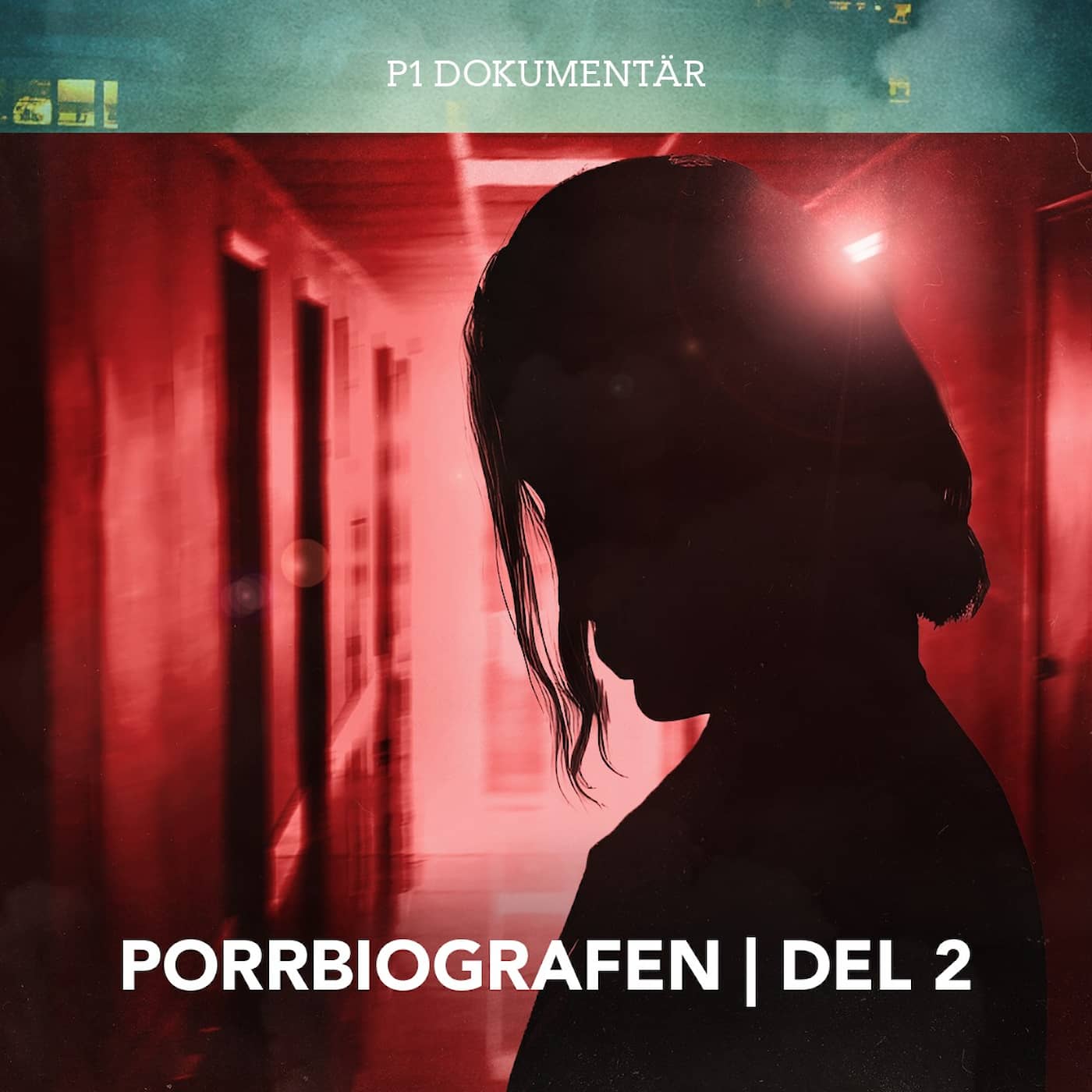 Porrbiografen – 20 år av övergrepp | Del 2/2 artwork