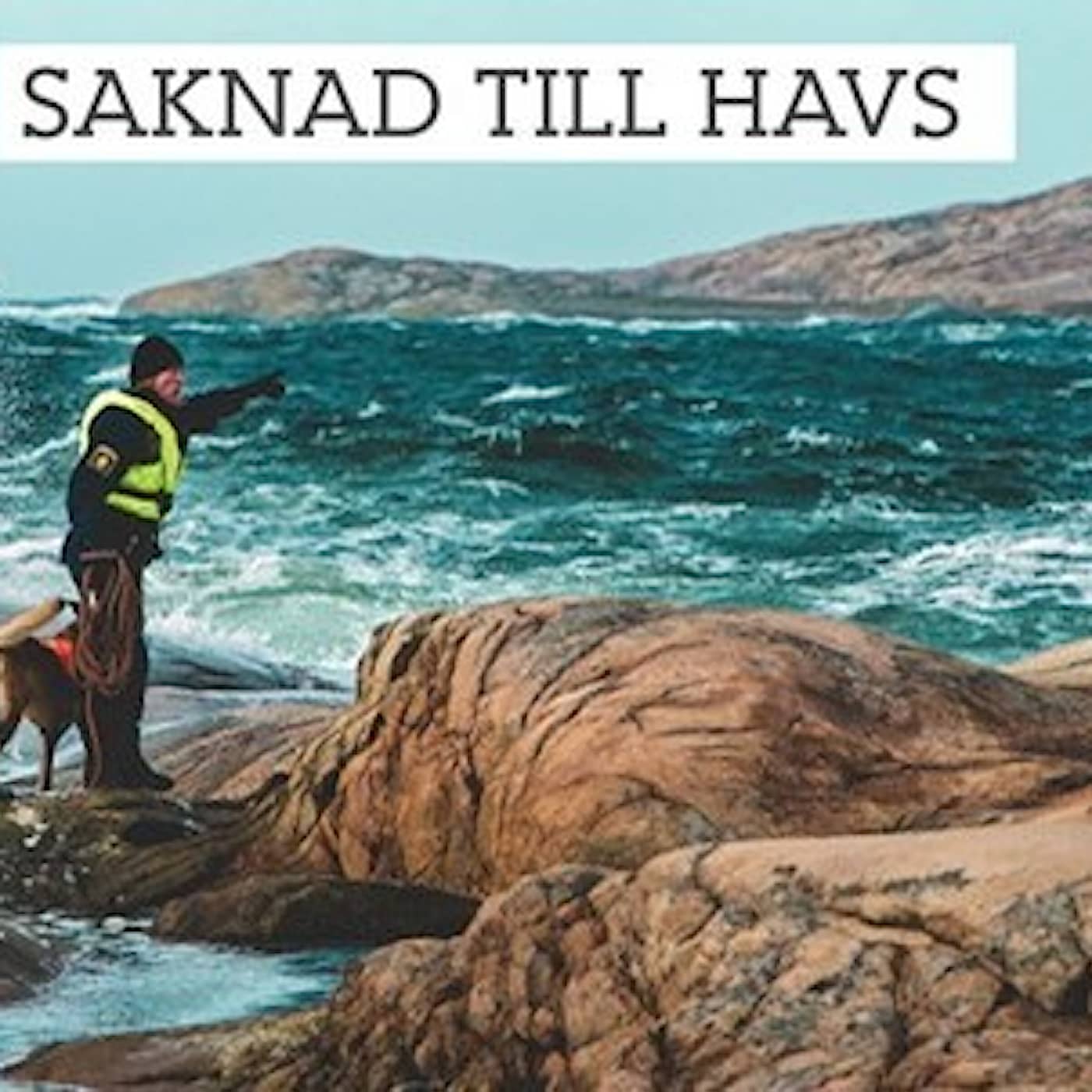 Saknad till havs artwork