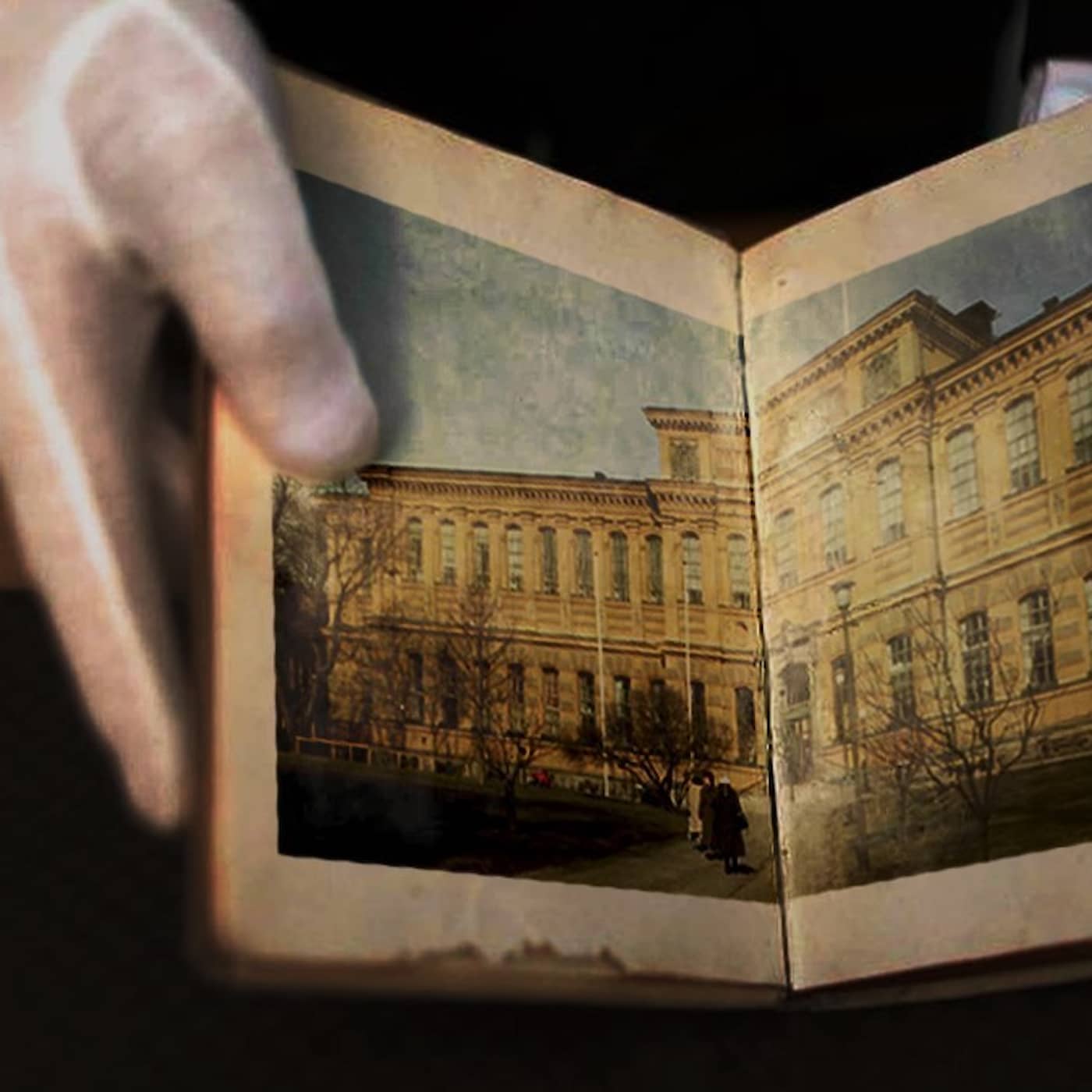 Bibliotekarien - boktjuven som sprängdes (R) artwork