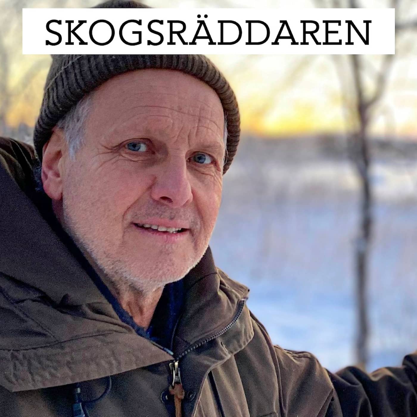 Skogsräddaren artwork
