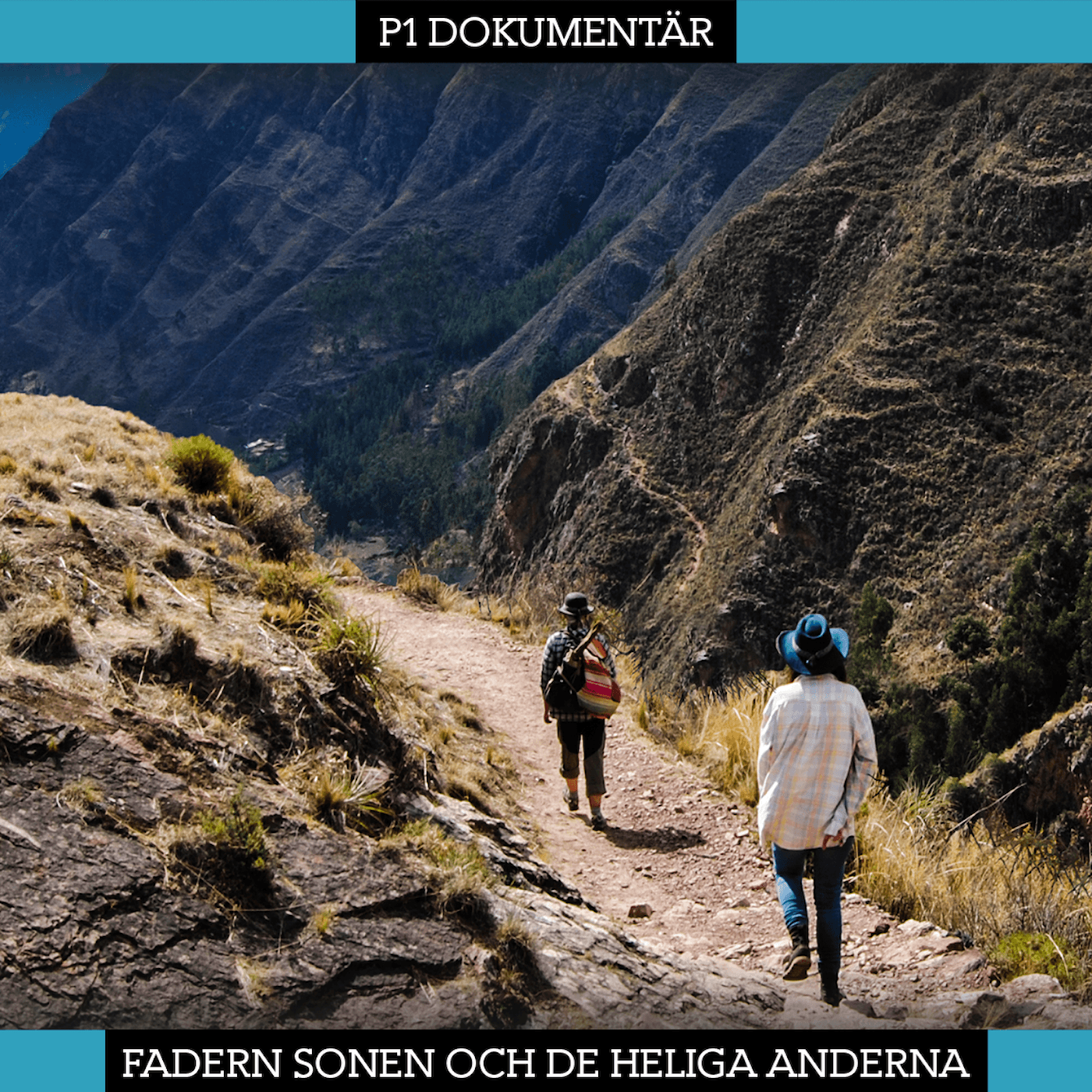 Fadern, sonen och de heliga Anderna artwork