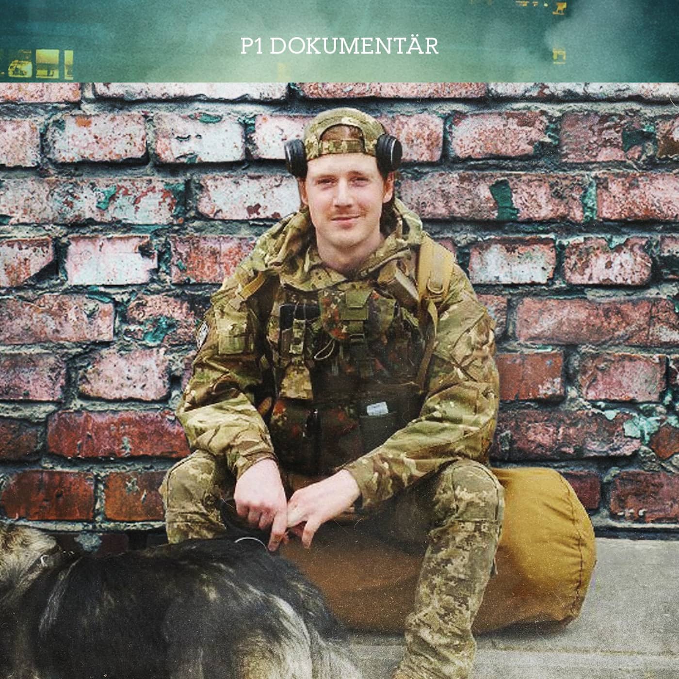 Frivillig soldat – svensken i Ukraina artwork