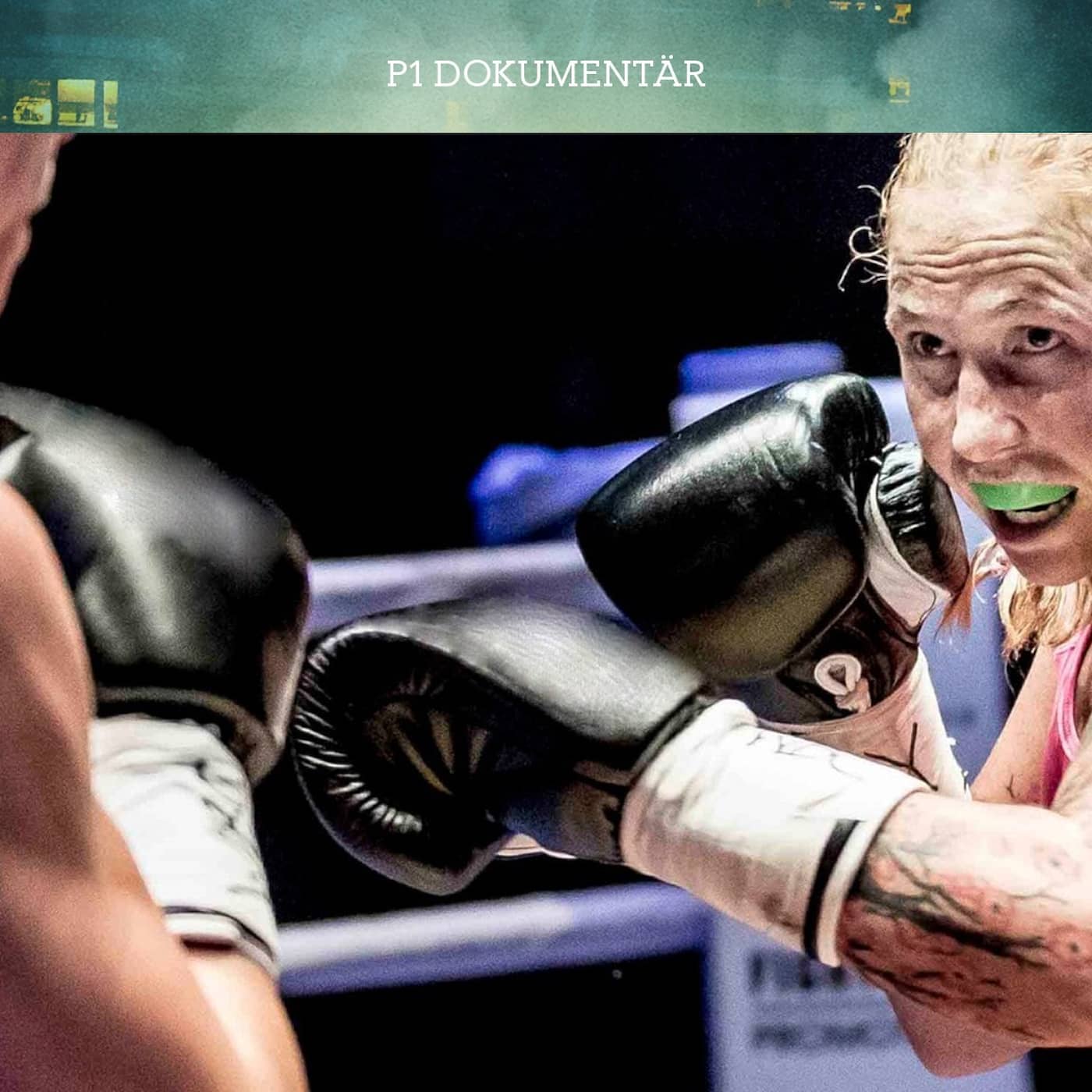 Fighter – vägen till världsmästarbältet artwork