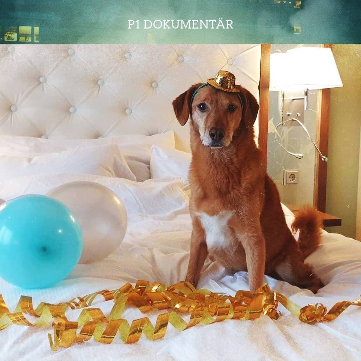 Nyår på hundhotellet artwork