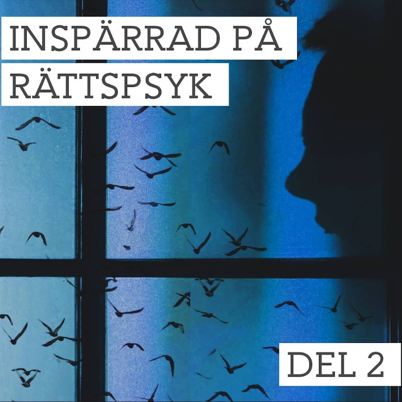 Inspärrad på rättspsyk: Systemet artwork
