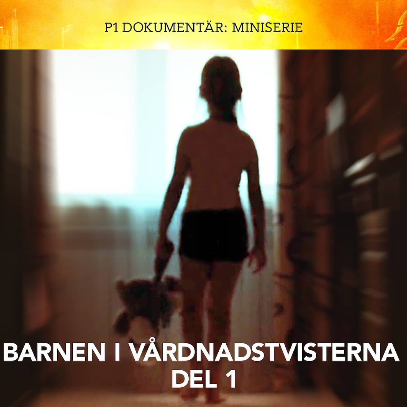 Barnen i vårdnadstvisterna – De tysta skriken | del 1 artwork