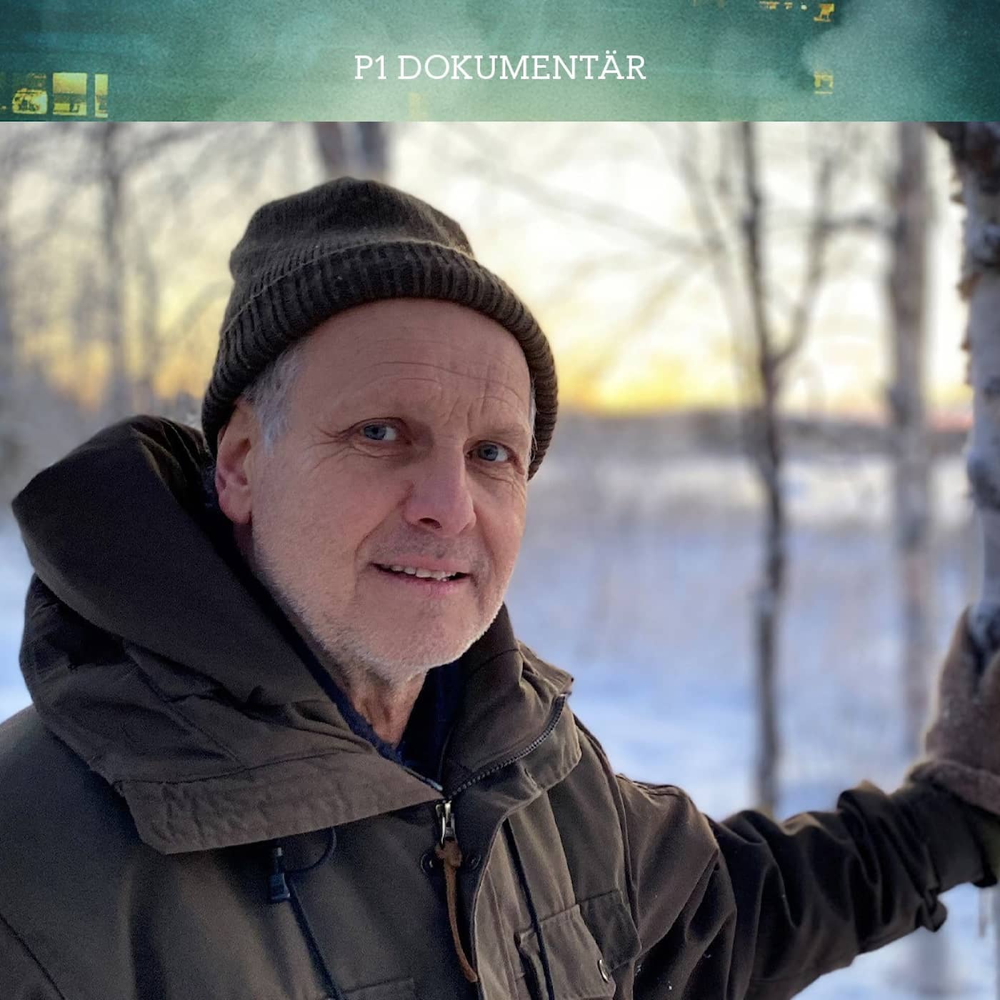 Skogsräddaren (R) artwork