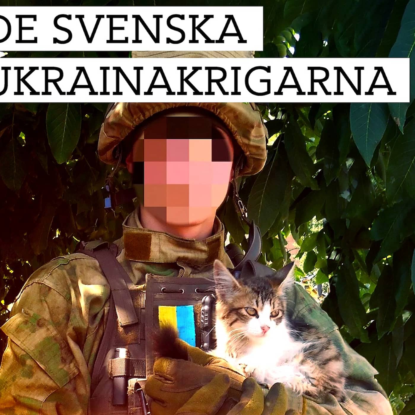 De svenska Ukrainakrigarna artwork