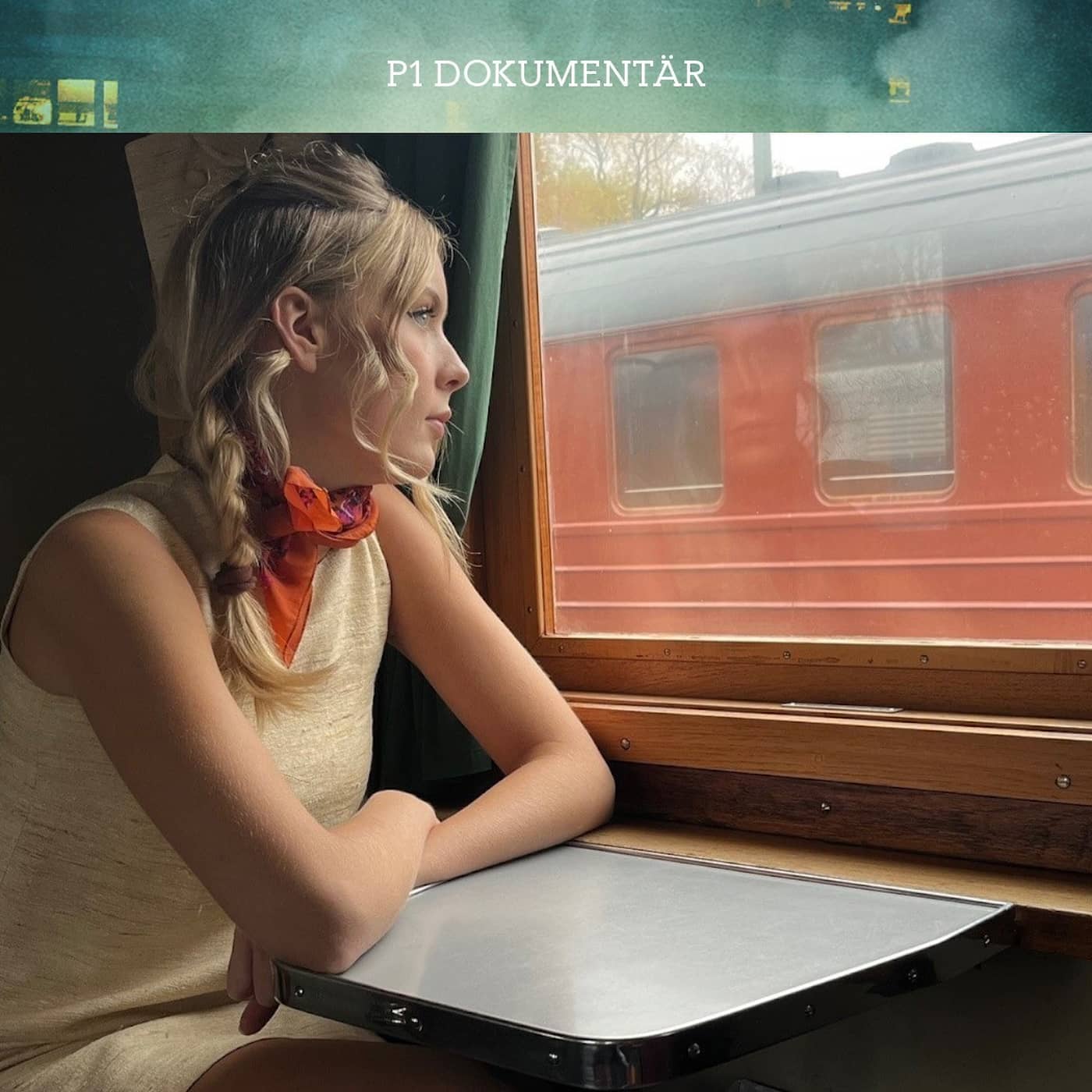 ”Carins” hemliga abortresa till Polen artwork
