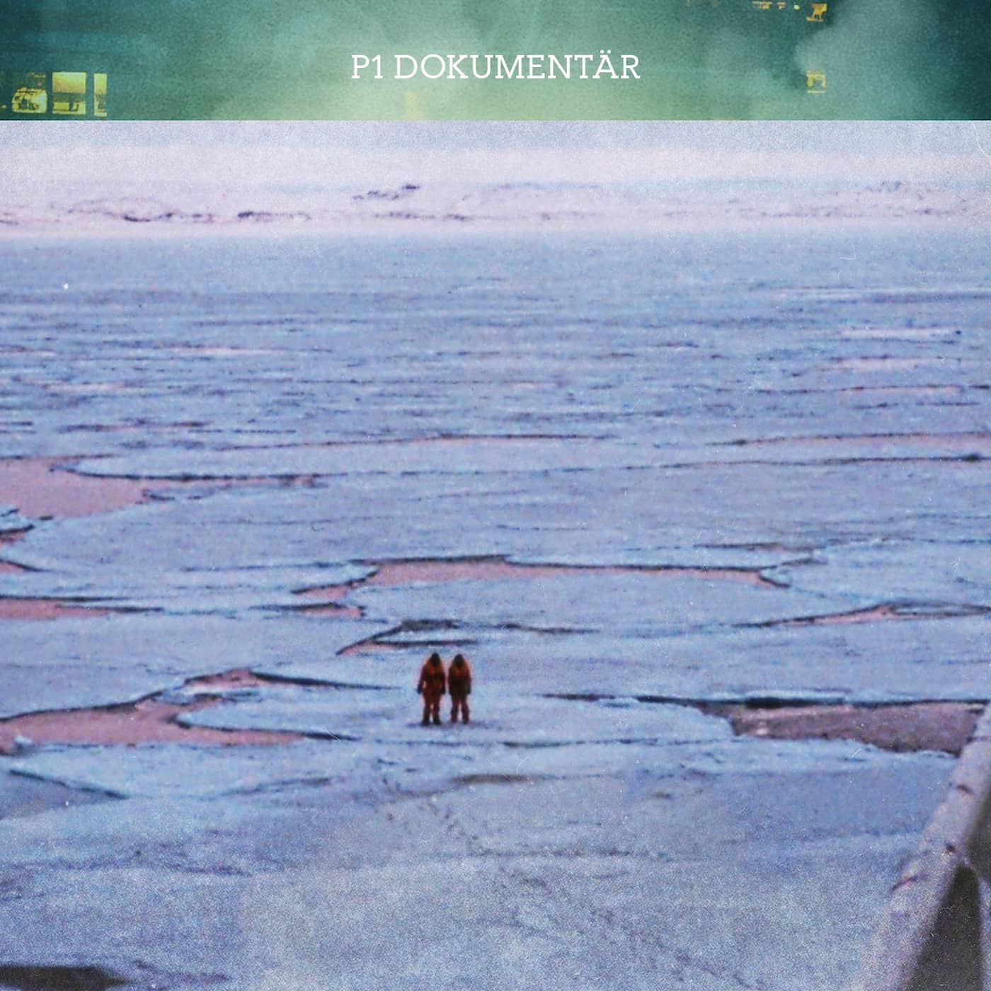Flygkraschen i Ishavet artwork