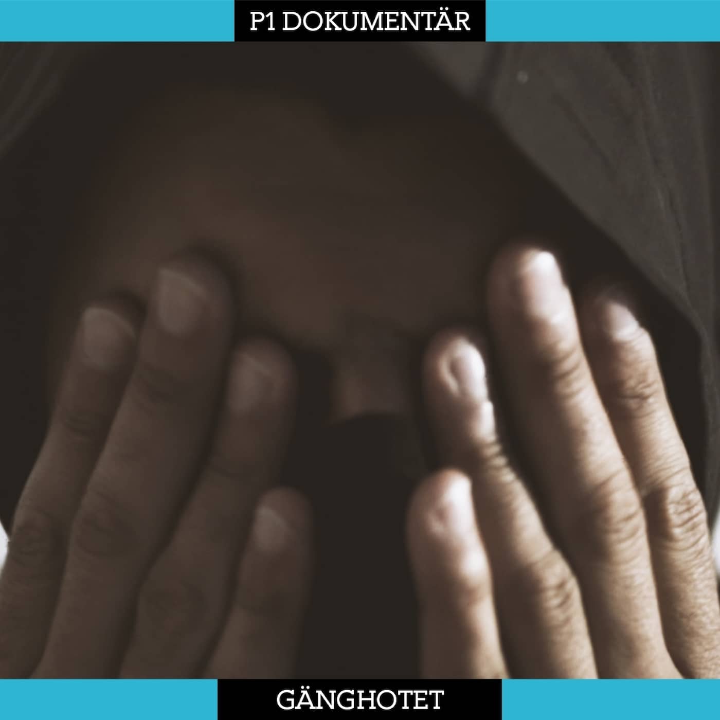 Det kriminella systemet: Gänghotet artwork