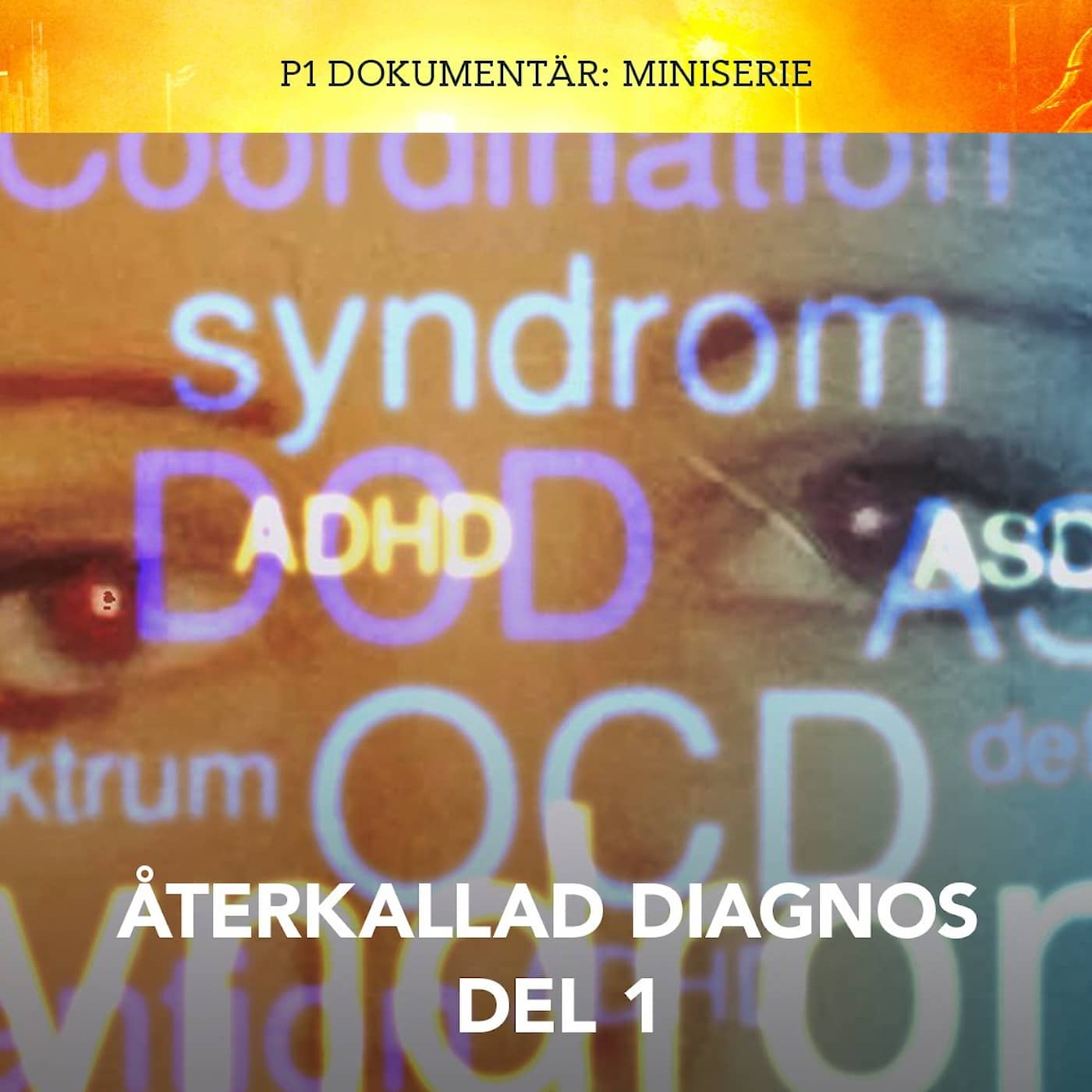 Återkallad diagnos – Tjugo stulna år | del 1 artwork