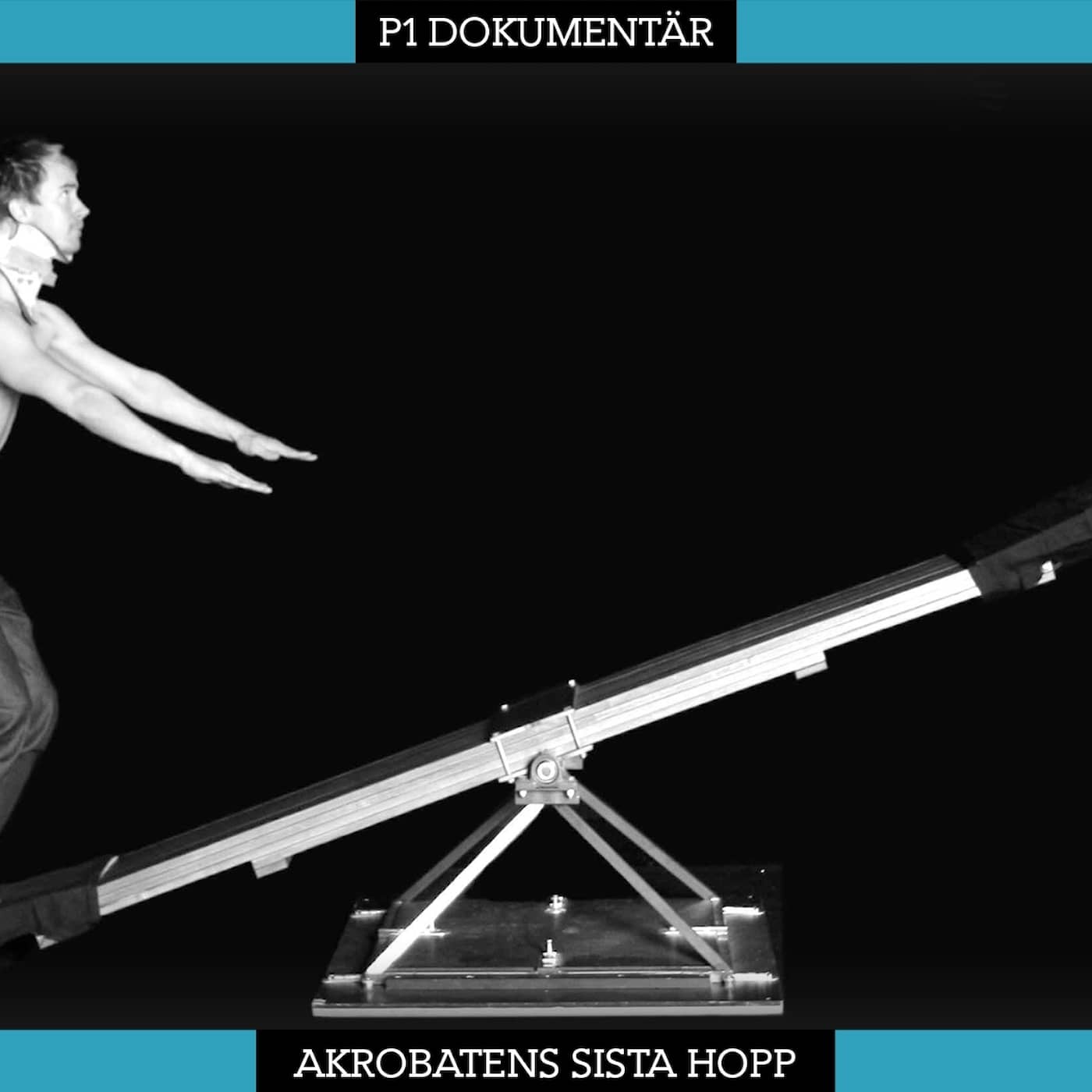 Akrobatens sista hopp artwork