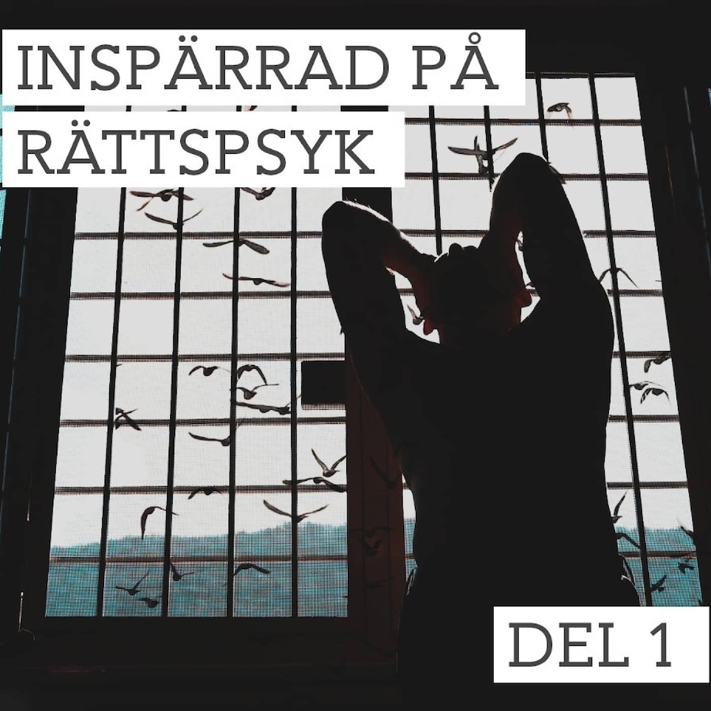 Inspärrad på rättspsyk: Niklas artwork
