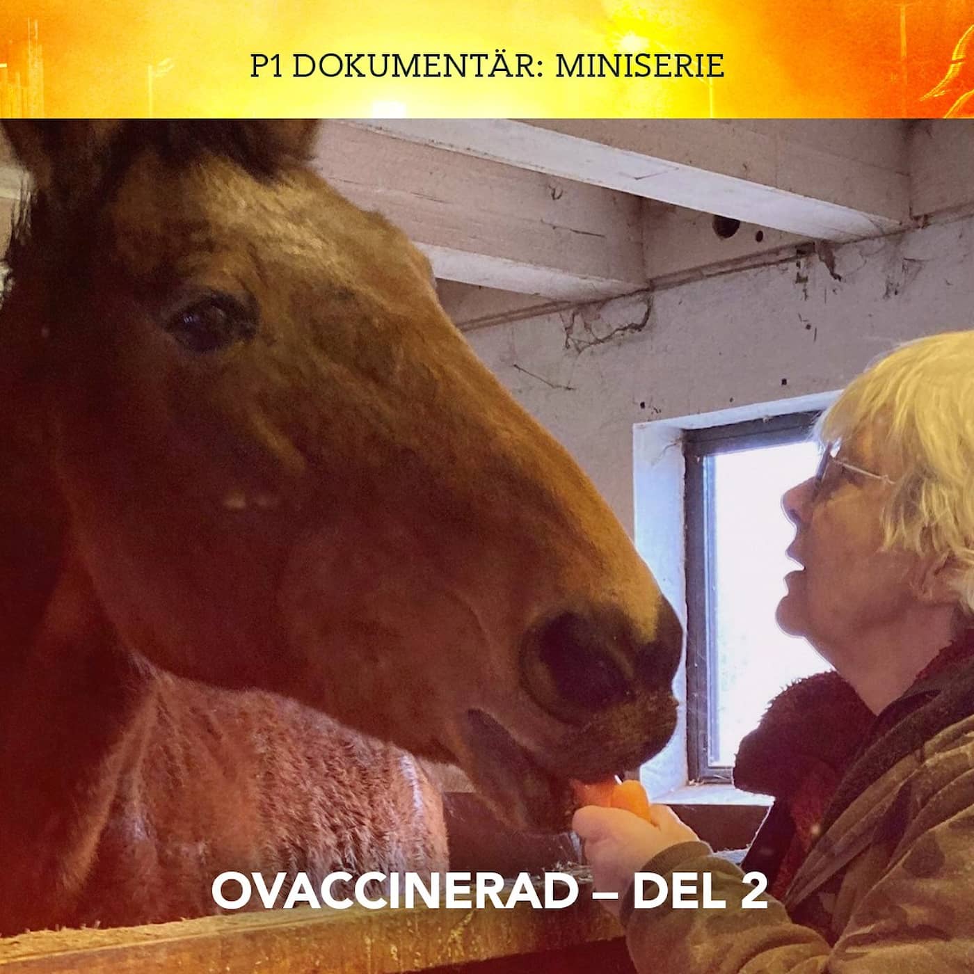 Ovaccinerad – De tveksamma | del 2 artwork
