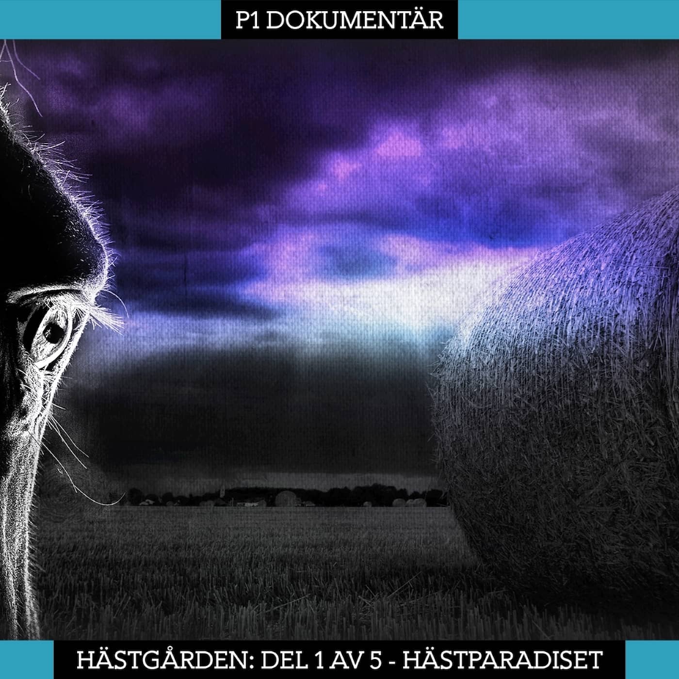 Del 1/5. Hästgården – Hästparadiset artwork