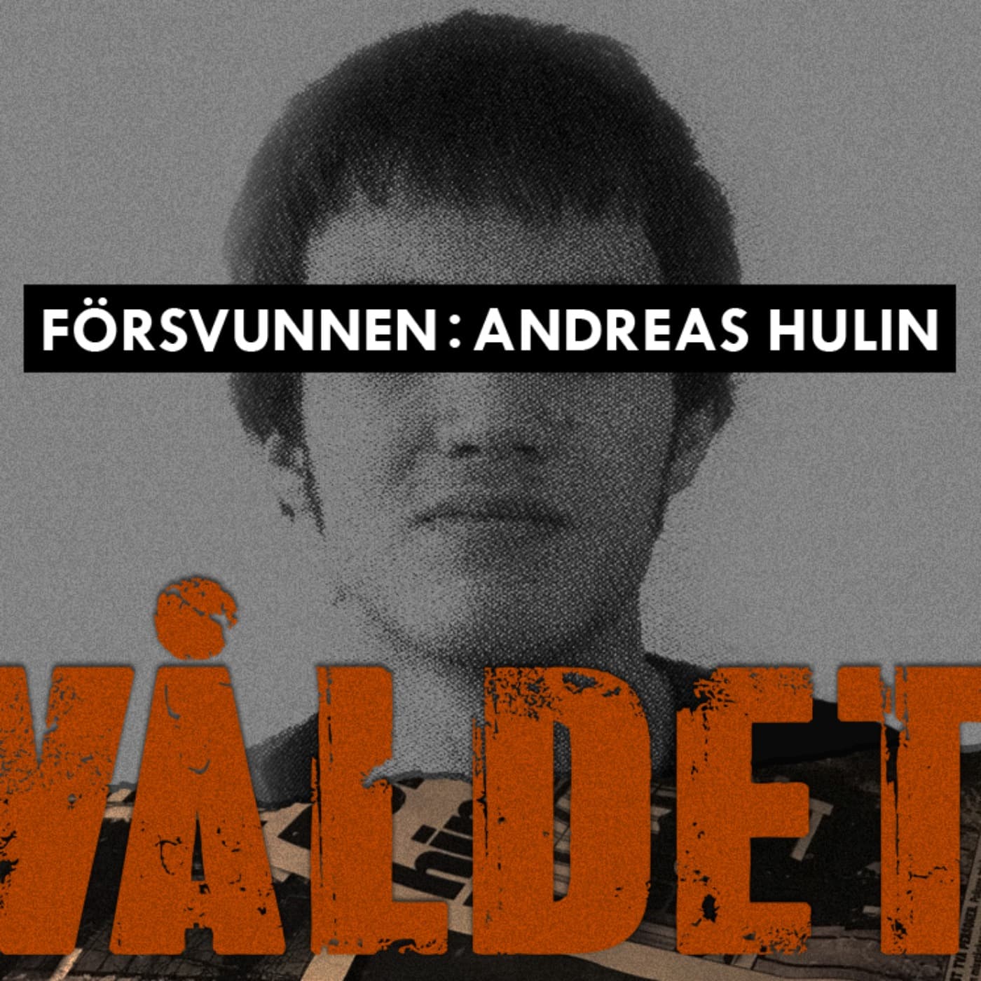 Försvunnen: Andreas Hulin artwork