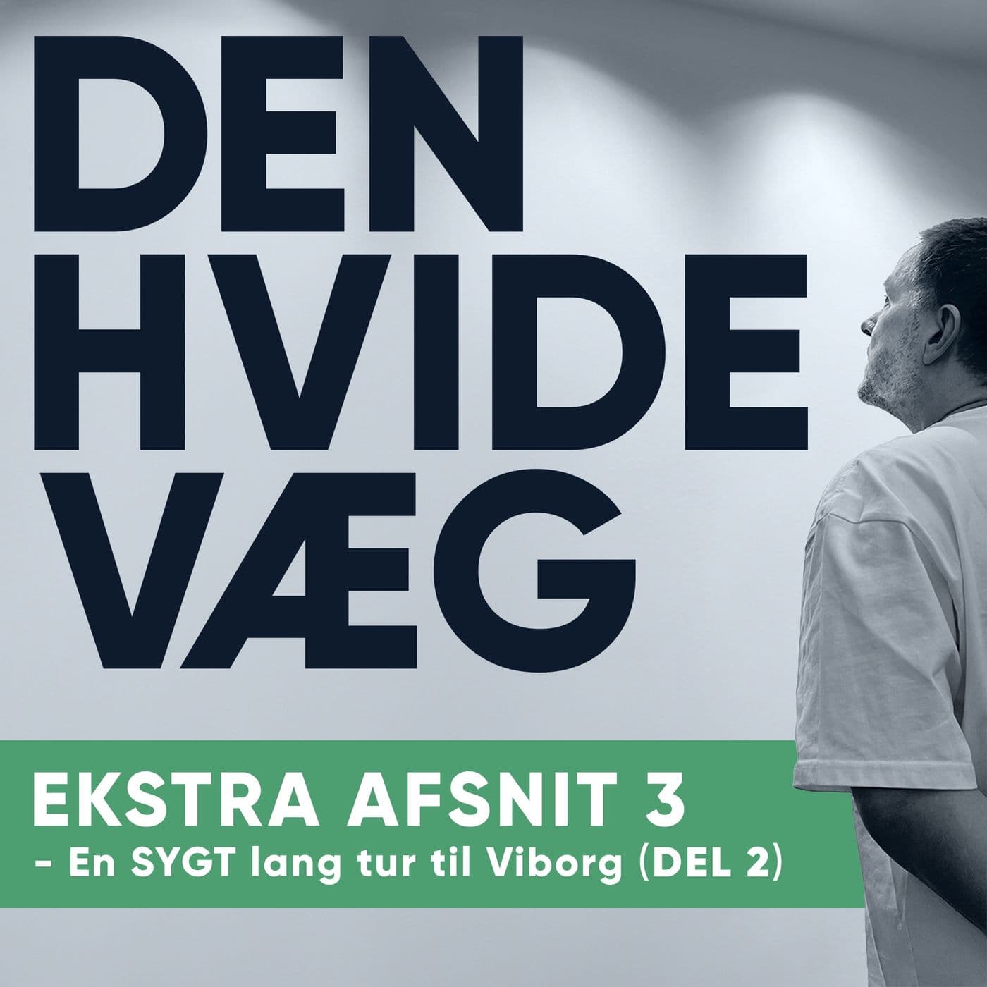 Ekstra afsnit 3 - En sygt lang køretur til Viborg (Del 2) artwork