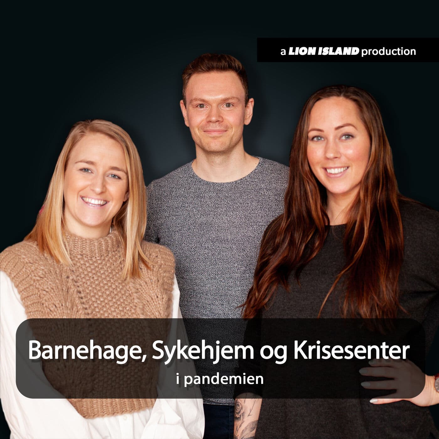 26. Barnehage, sykehjem og krisesenter i pandemien artwork