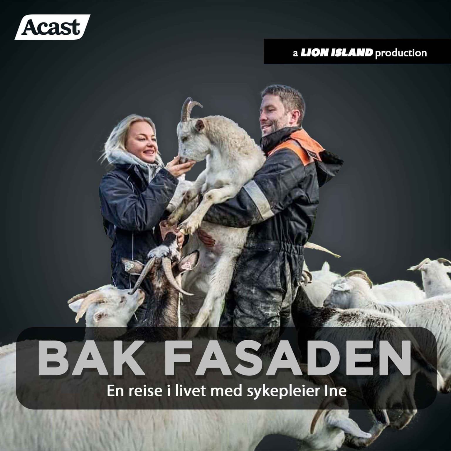 120. Dale Store gård - Norges første og største fristed for landbruksdyr artwork
