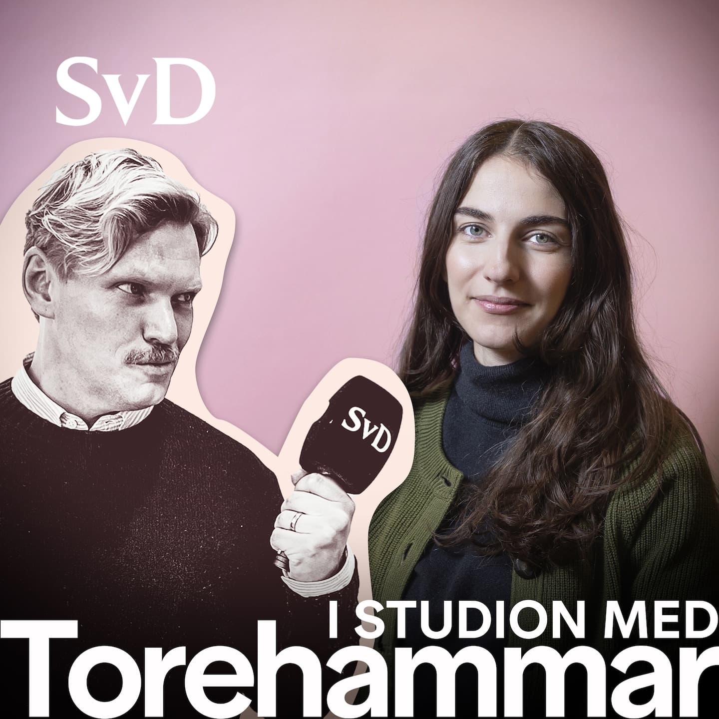 Miljö- och klimatminister Romina Pourmokhtari i studion med Torehammar artwork