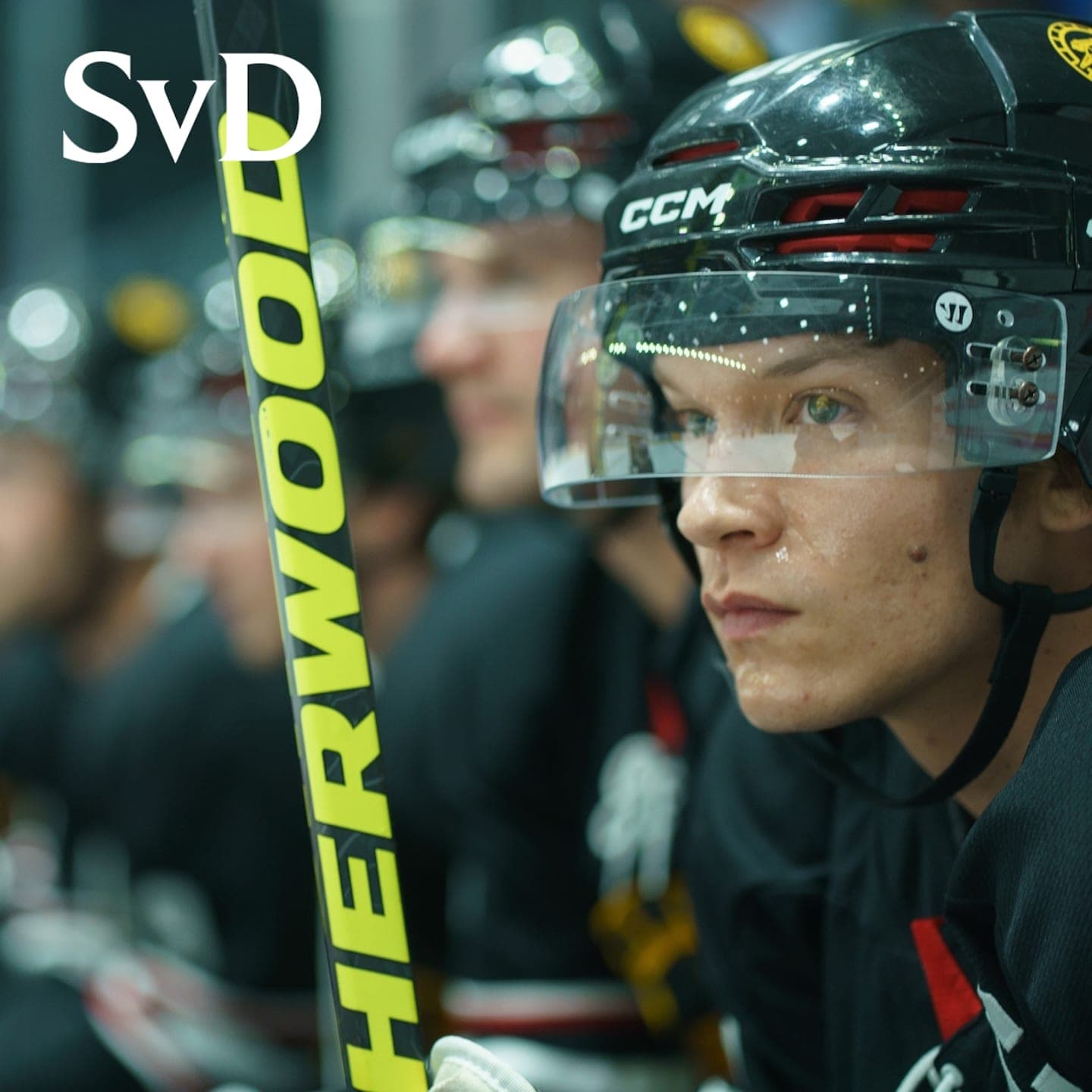 TRAILER: Heated Rivalry – följeslagarpodden artwork