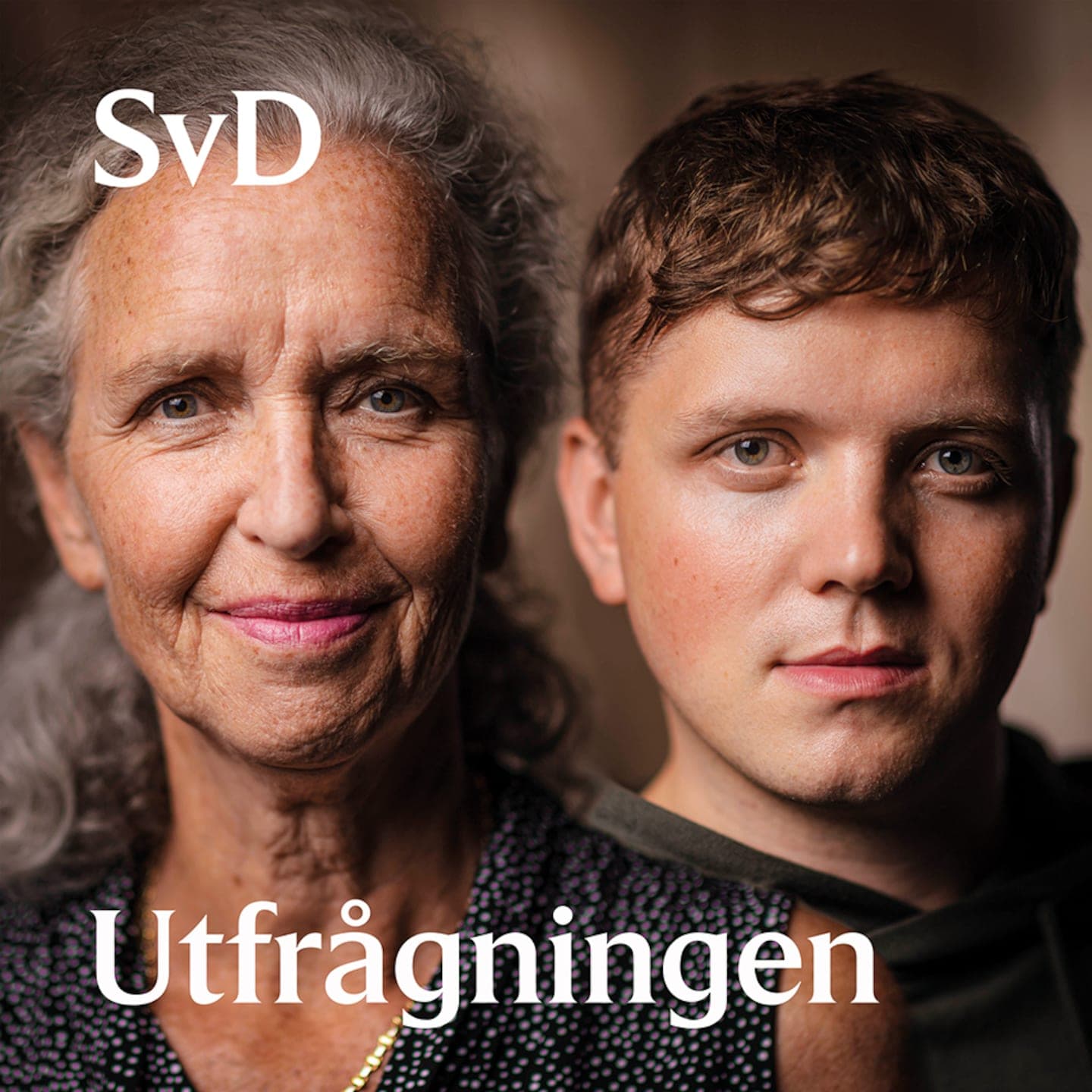 SvD Utfrågningen: Johan Pehrson artwork