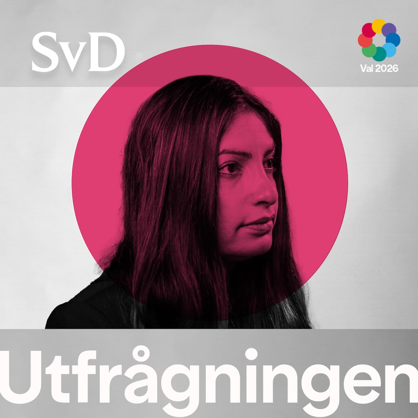 SMAKPROV! SvD Utfrågningen: Nooshi Dadgostar artwork