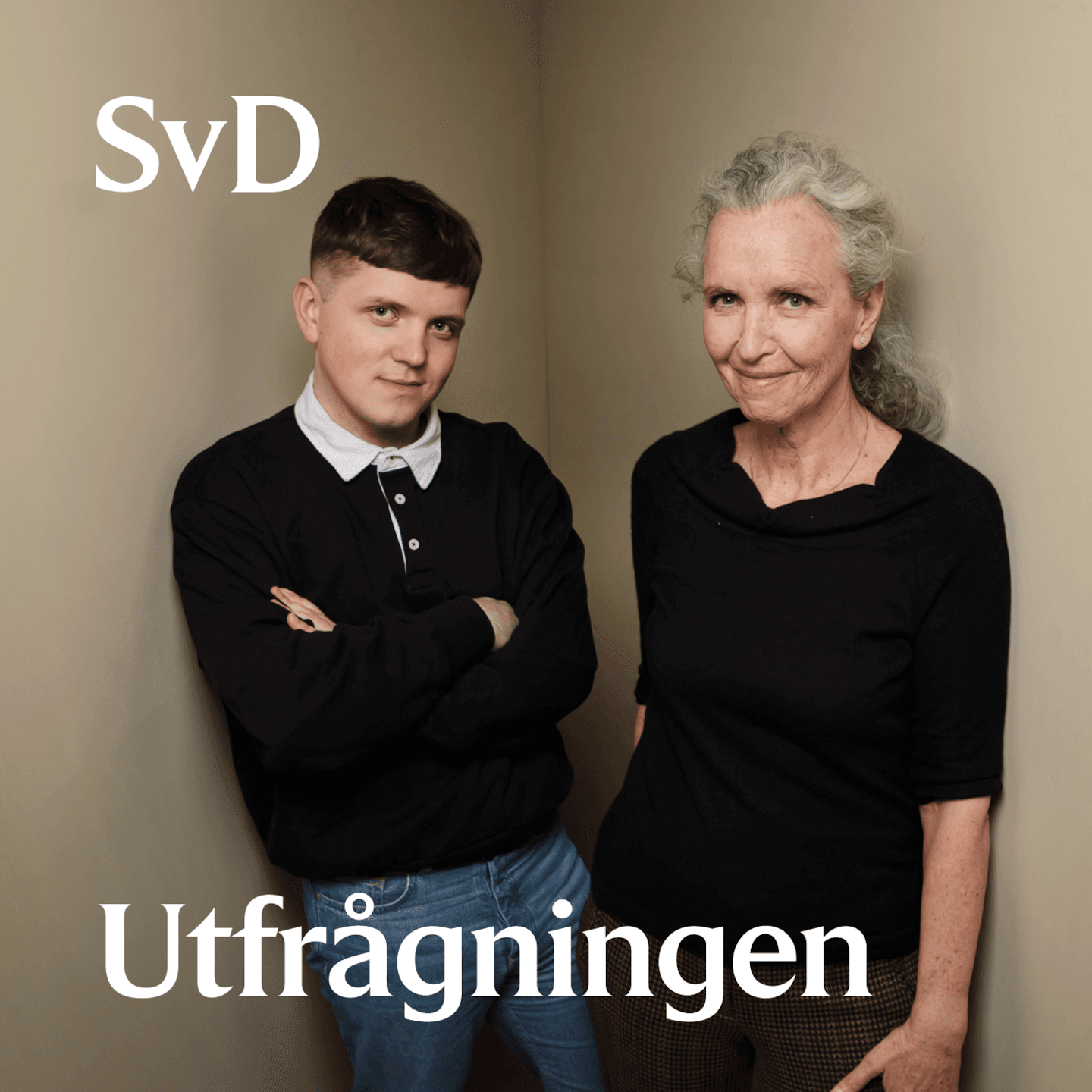 SvD Utfrågningen: Ebba Busch artwork