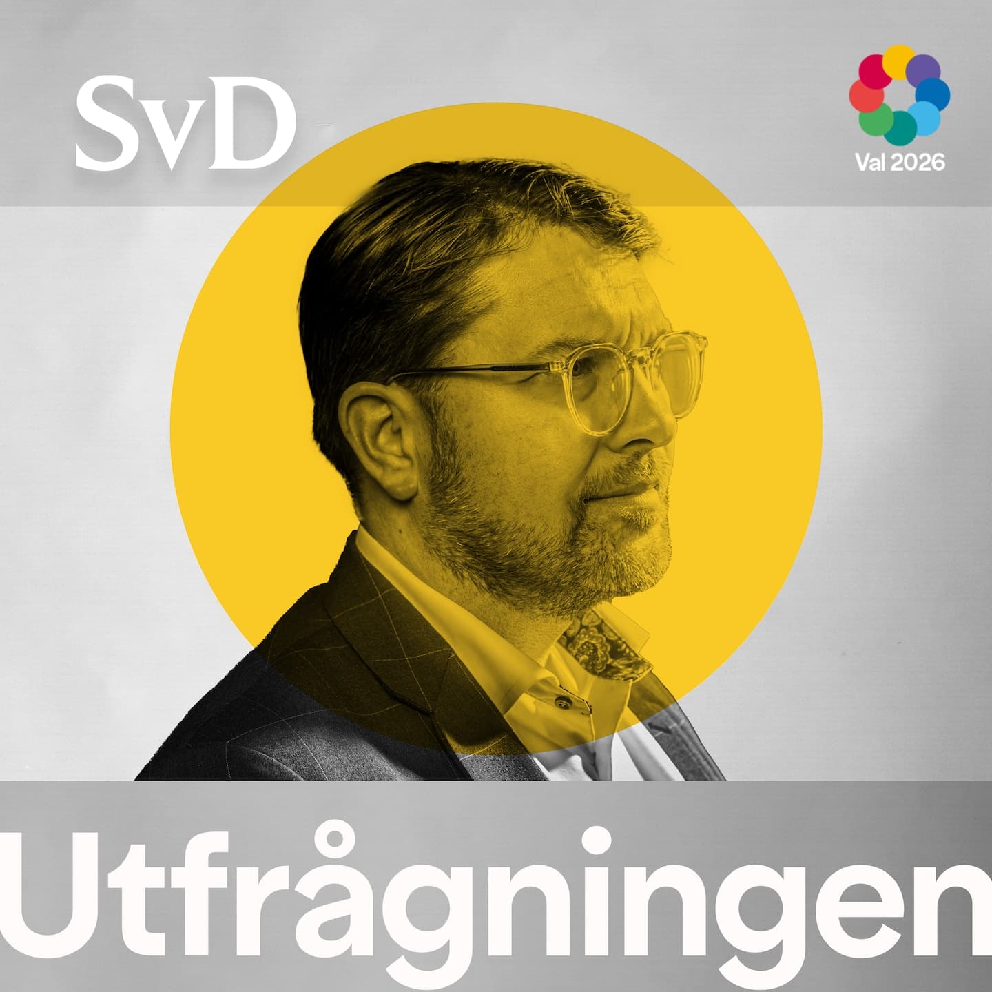 SMAKPROV! SvD Utfrågningen: Jimmie Åkesson artwork