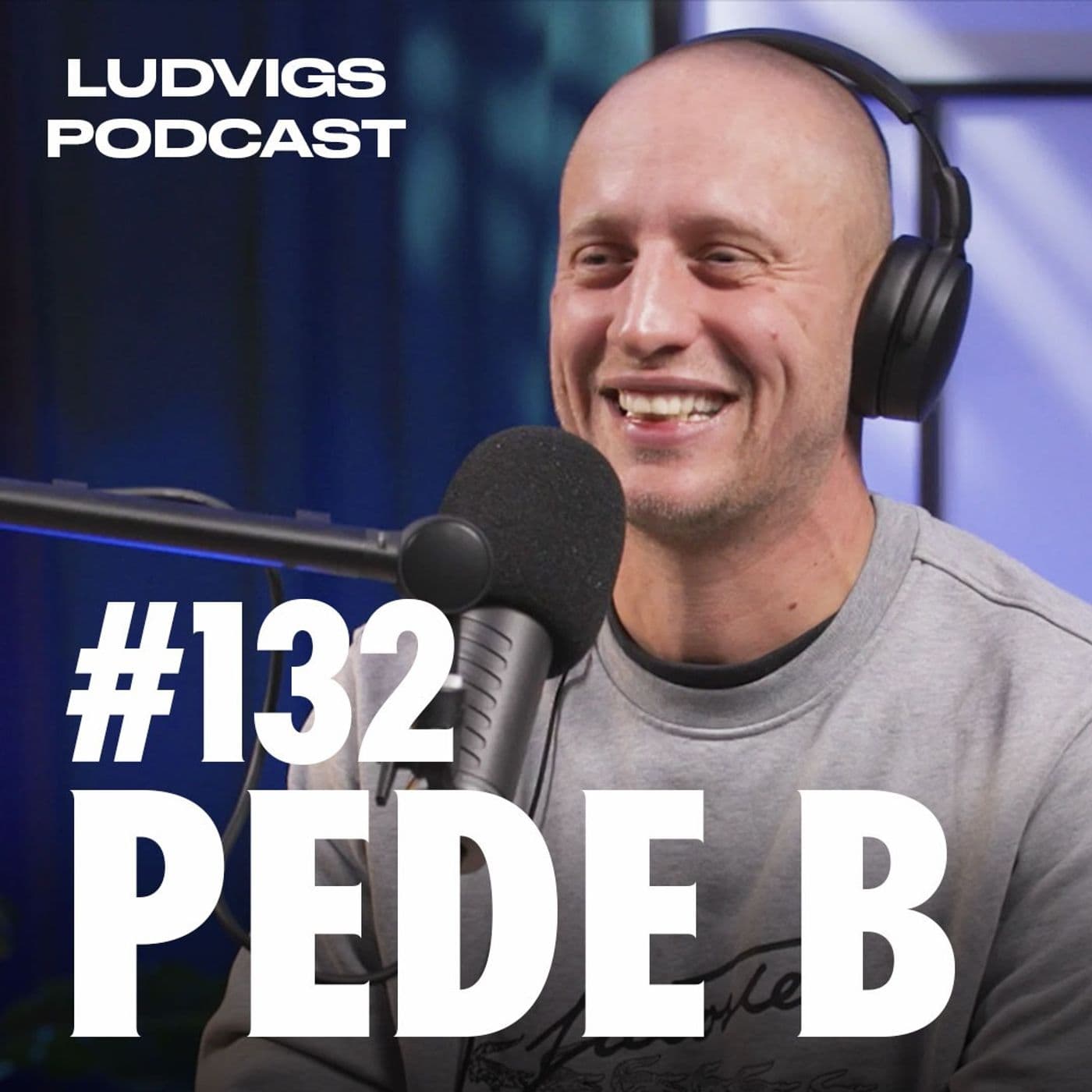 #132 - Pede B artwork