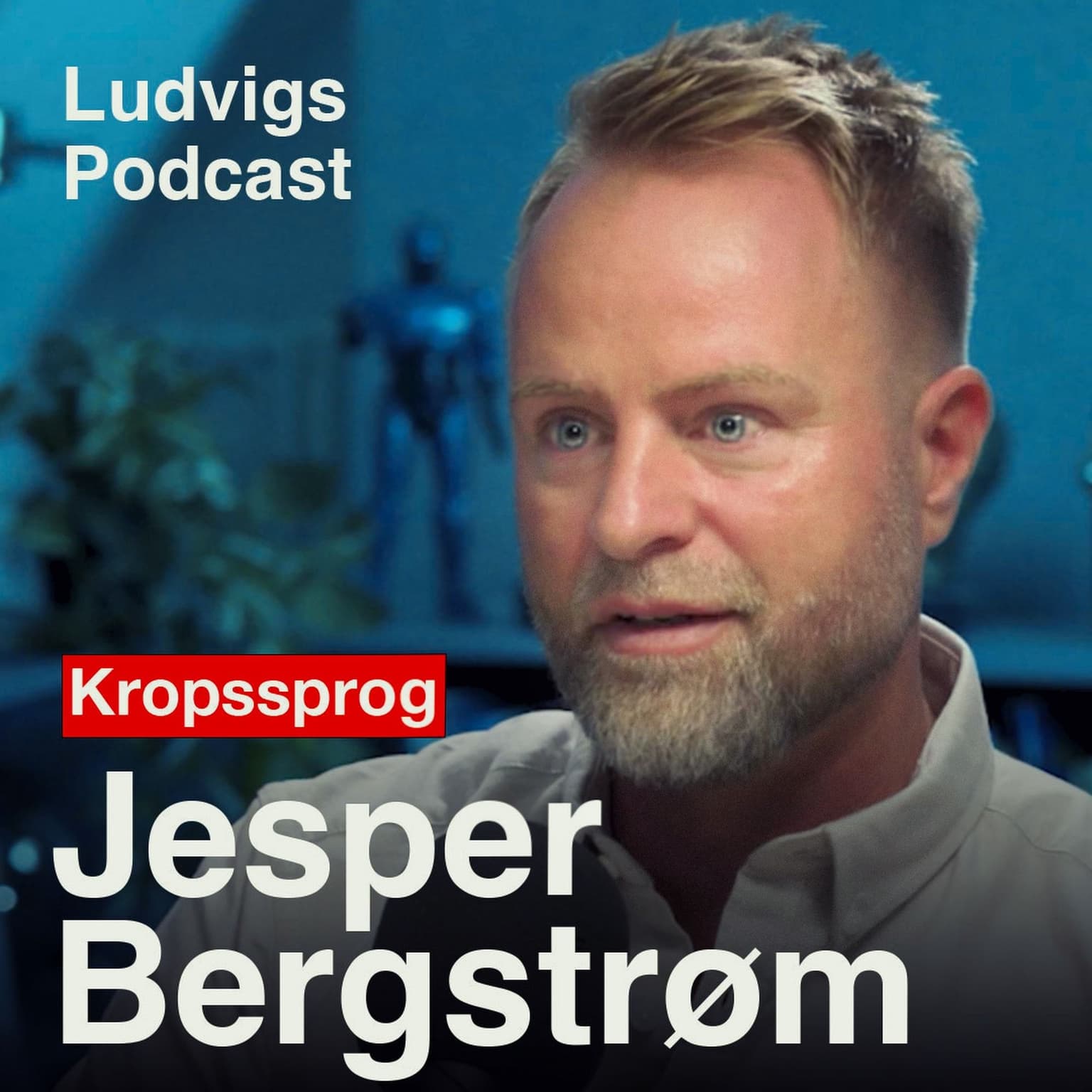 Jesper Bergstrøm: "Sådan lærer du at læse mennesker!" | 232 artwork