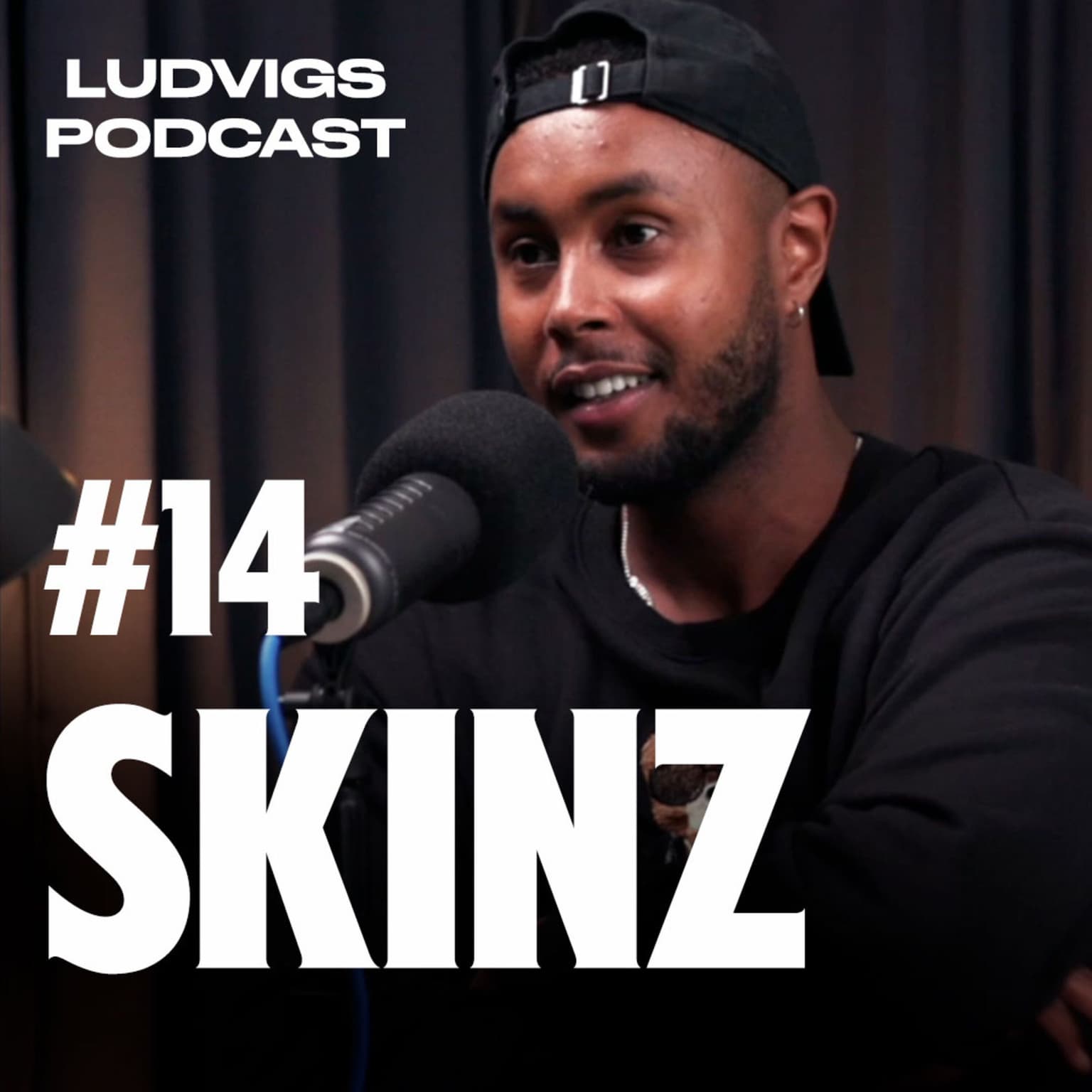 #14 - Skinz artwork