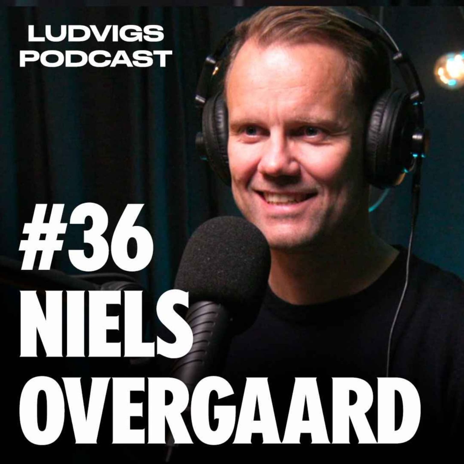 #36 - Niels Overgaard artwork