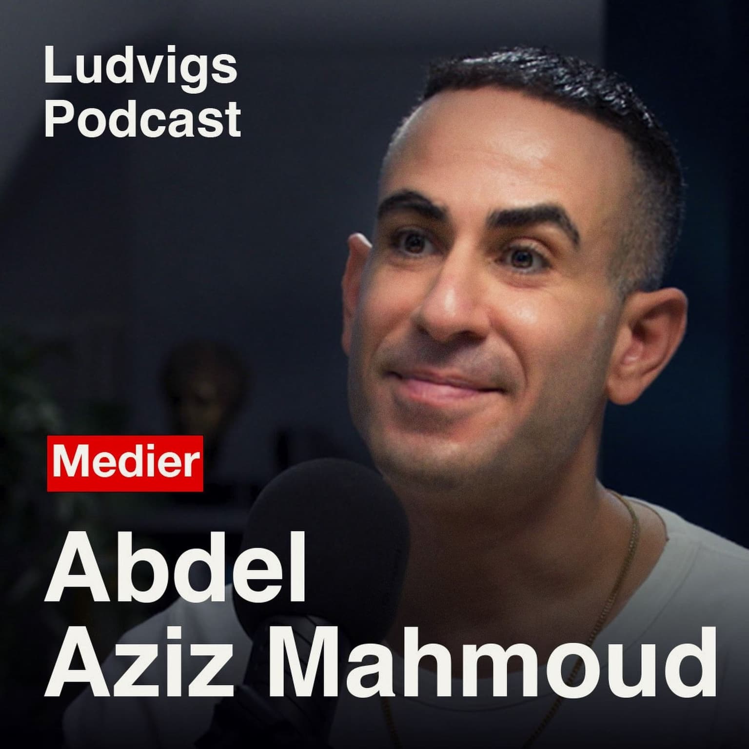 Abdel Aziz Mahmoud: "Jeg spillede dansker og hetero" | 227 artwork