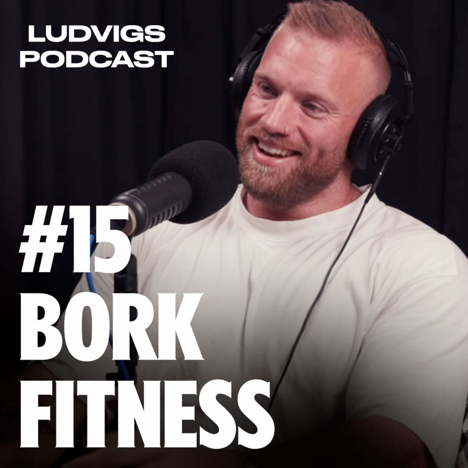 #15 - Bork Fitness artwork