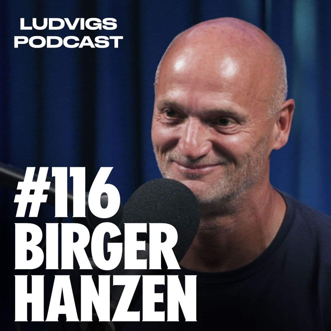 #116 - Birger Hanzen artwork