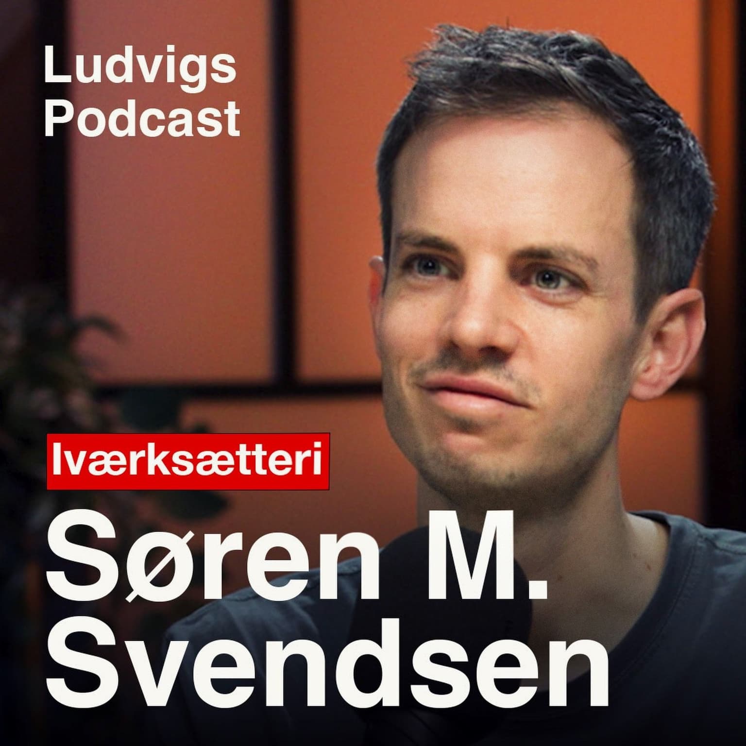 Fra CBS til CEO | Søren M. Svendsen | 228 artwork