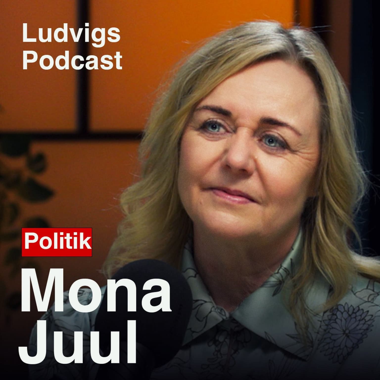 Mona Juul: Fra Erhvervsliv Til Folketing | 244 artwork