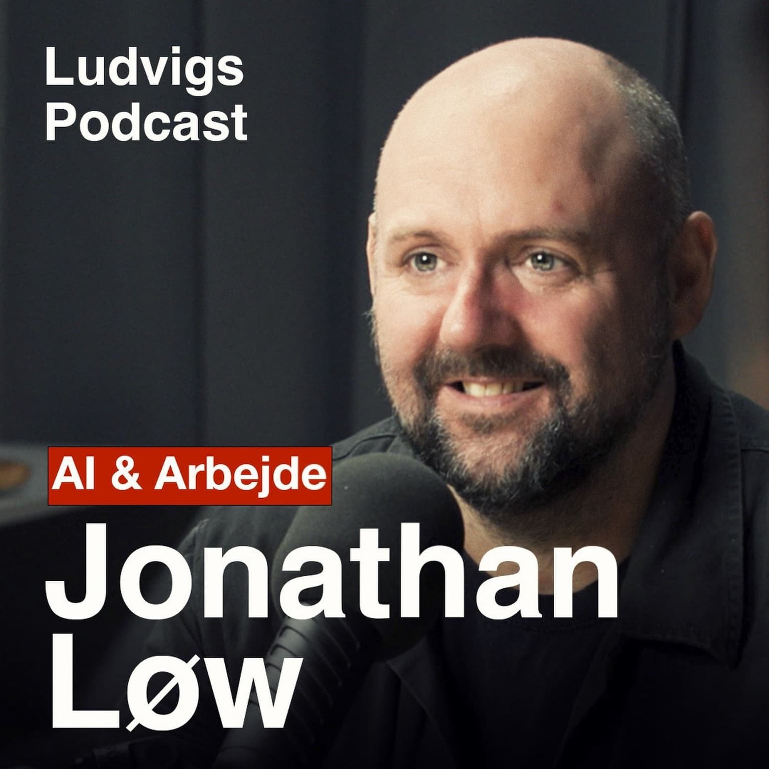 Sådan bliver du verdens bedste leder | Jonathan Løw | 204 artwork