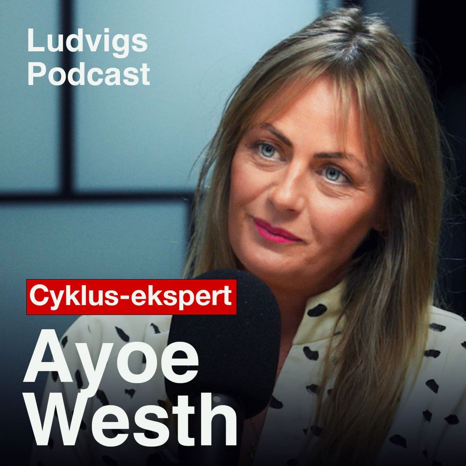 Cyklus-eksperten: Den skjulte viden om kvinders hormoner | Ayoe Westh | 250 artwork