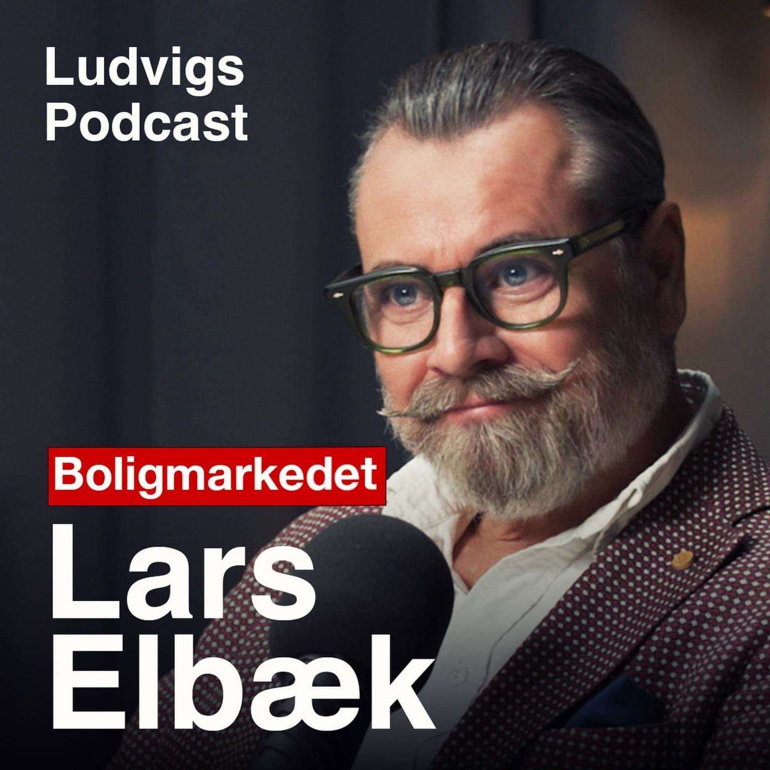 202 - Danmarks dyreste boliger | Lars Elbæk artwork