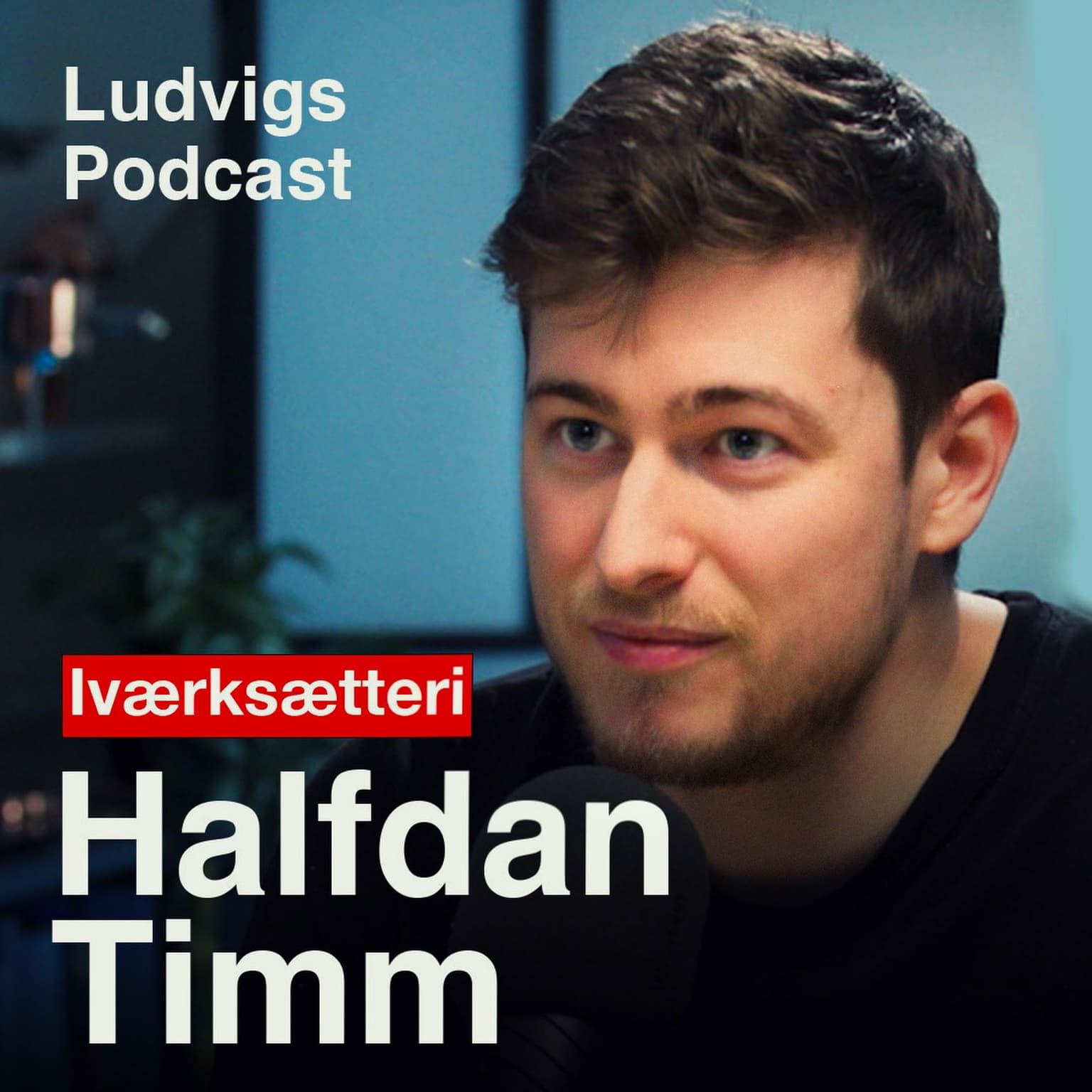Marketing-guruen: Sådan vinder du, i en digital tidsalder | Halfdan Timm | 233 artwork