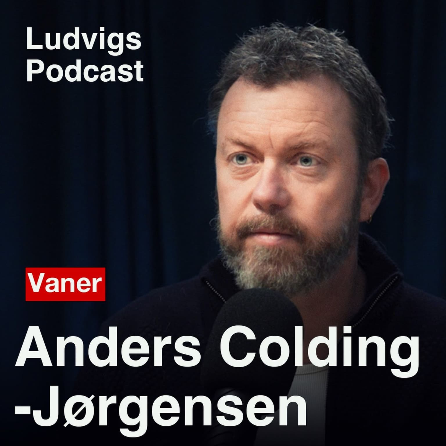 No.1 Vane-ekspert: Grunden til at du udskyder opgaver og spiser slik | Anders Colding-Jørgensen artwork