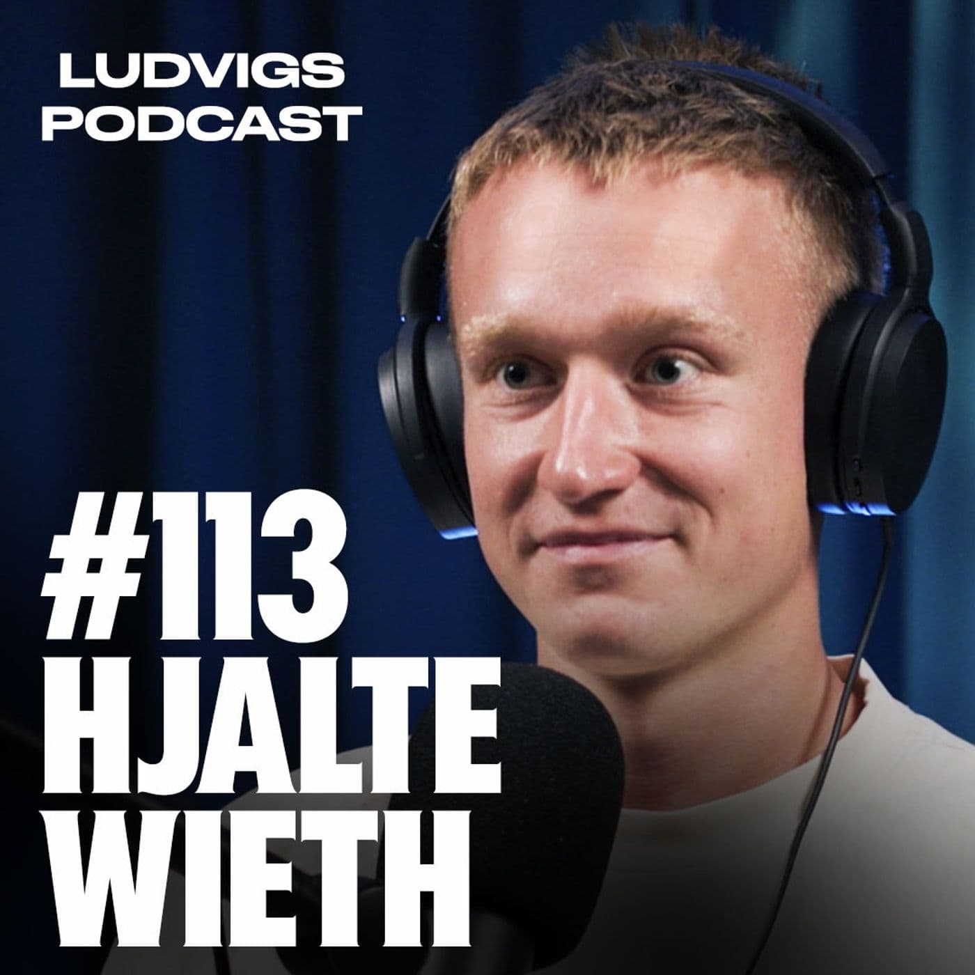 #113 - Hjalte Wieth artwork