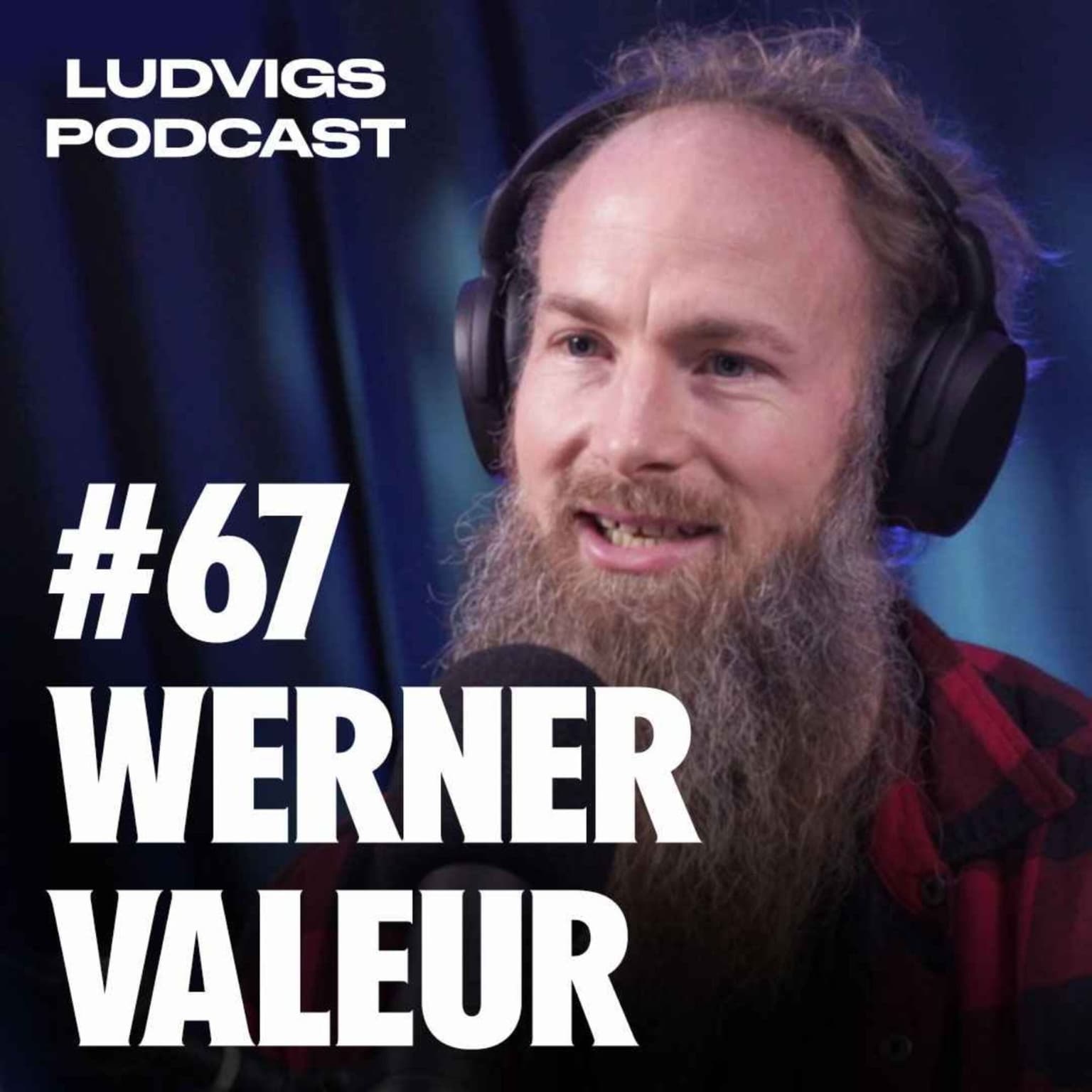 #67 - Werner Valeur artwork
