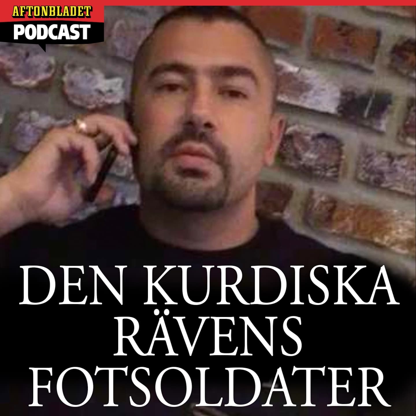 Den kurdiska rävens fotsoldater artwork