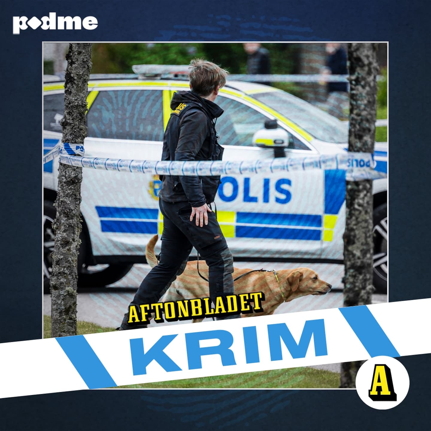 Dubbelmordet i Klippan och överfallen i Ö-vik artwork