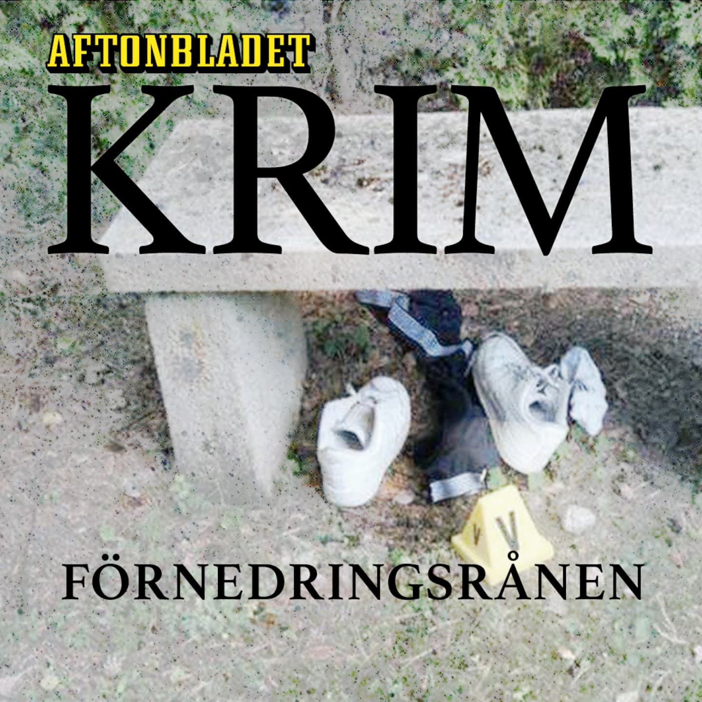 Förnedringsrånen artwork
